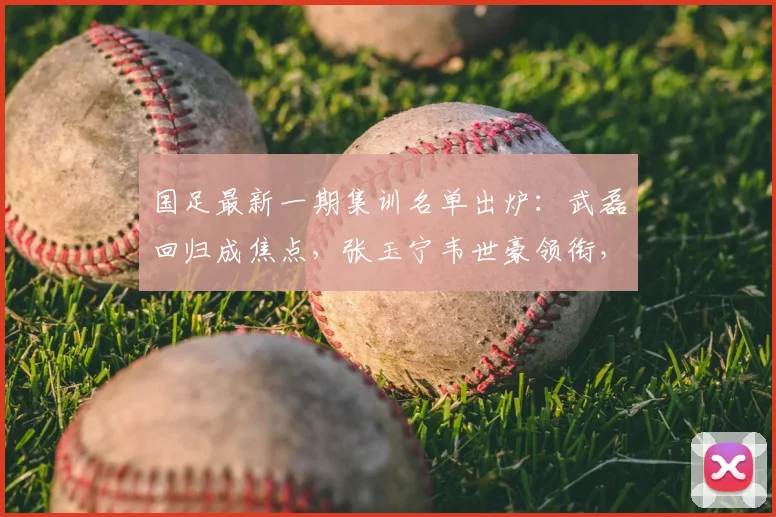 国足最新一期集训名单出炉:武磊回归成焦点,张玉宁韦世豪领衔,新人引关注